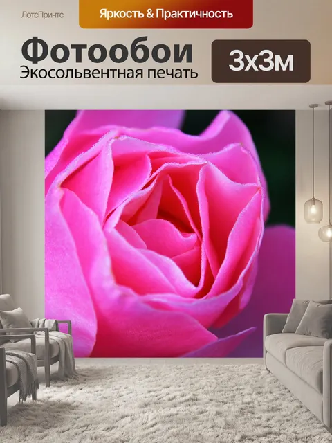Фотообои Pink rose