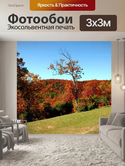 Фотообои Цвета осени