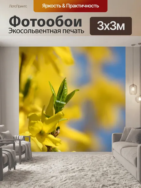 Фотообои Цветы