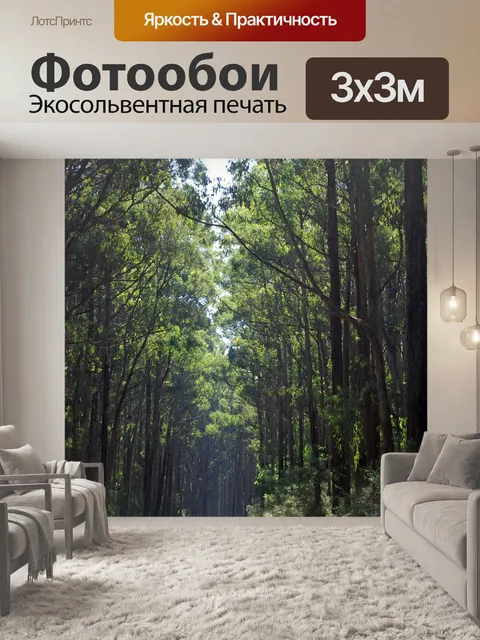 Фотообои Лес