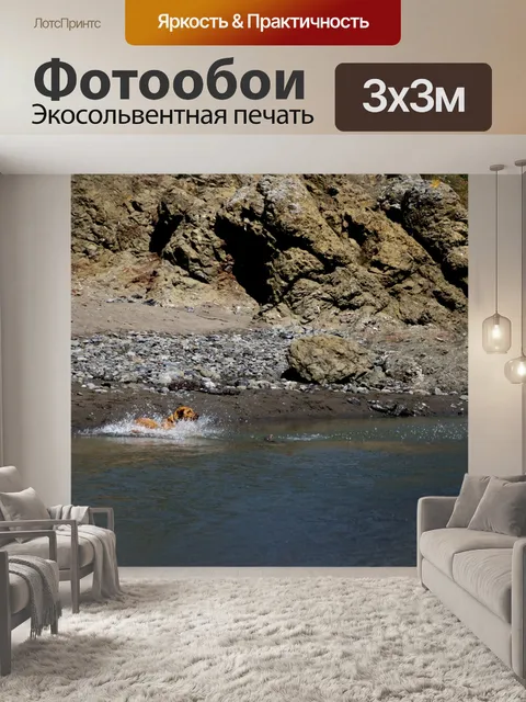 Фотообои Собака плавает в воде
