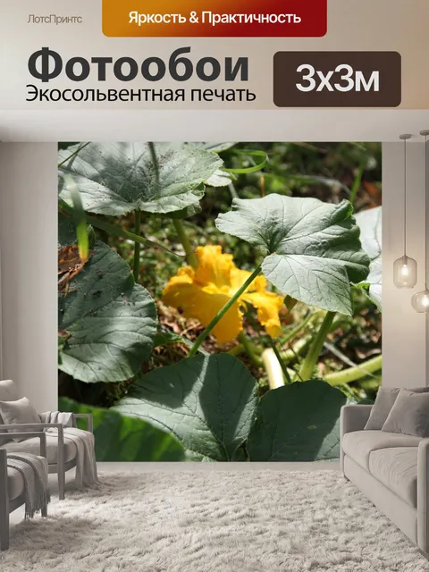 Фотообои Сад