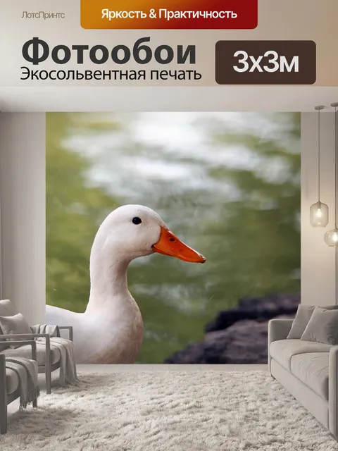 Фотообои белая утка с каплями