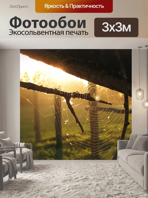 Фотообои Паутина