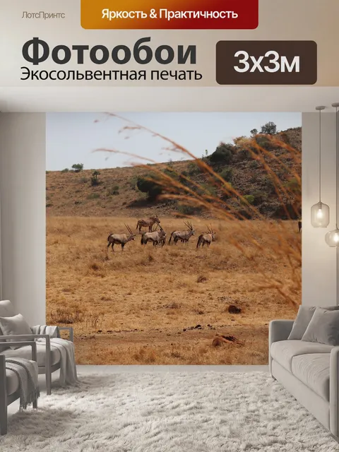 Фотообои Сафари