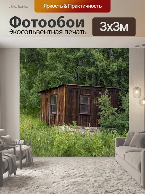 Фотообои лачуга