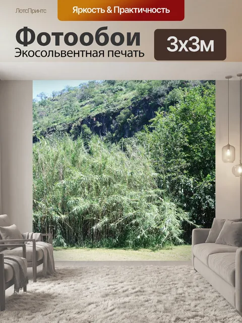 Фотообои камыш и деревья