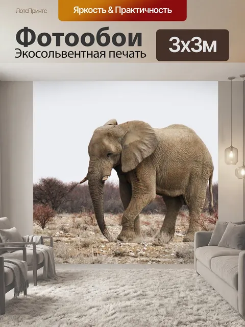 Фотообои Слон