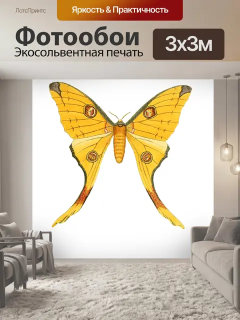 Фотообои Бабочка
