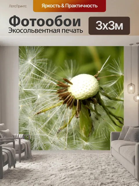 Фотообои Одуванчик