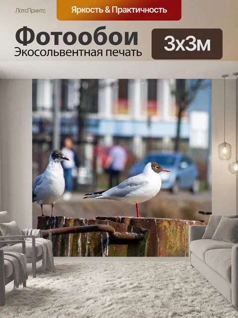 Фотообои птицы