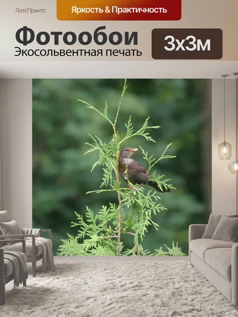 Фотообои Птица