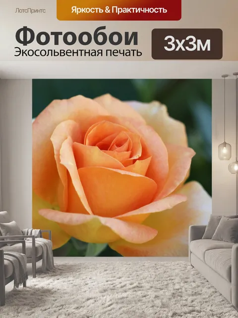 Фотообои Цветы розы апельсиновые цветы