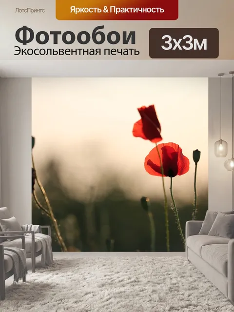 Фотообои Красный букет маков