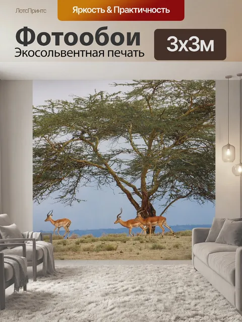 Фотообои Антилопа
