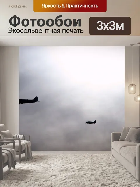 Фотообои мрачный небо с самолета силуэт