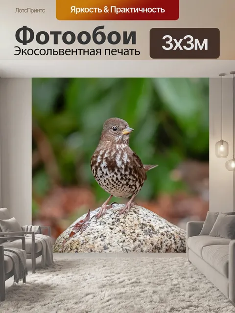 Фотообои Птица