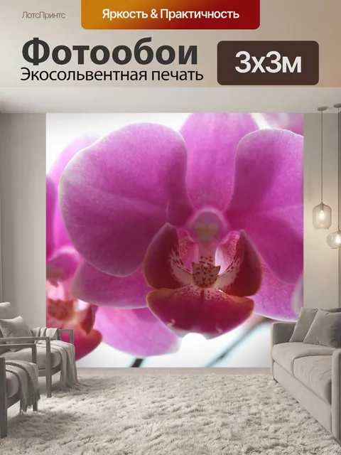 Фотообои Орхидеи