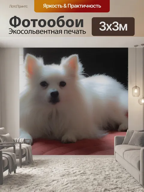 Фотообои Белая Поморская Собака