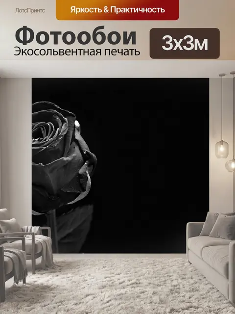 Фотообои Роза