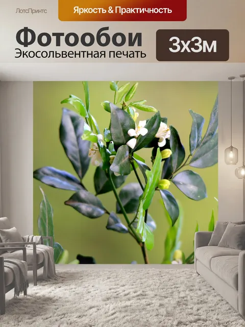 Фотообои ветви с мелкими цветами