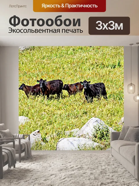 Фотообои Коровы на лугу