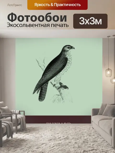 Фотообои Канюк винтажная птица
