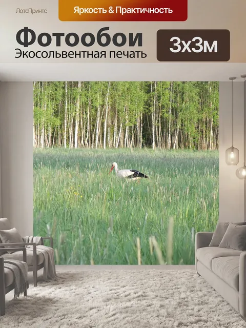 Фотообои Аист