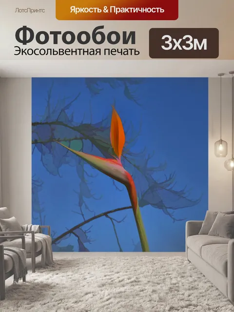 Фотообои Цветок райской птицы