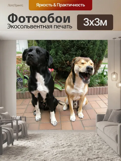 Фотообои Животные