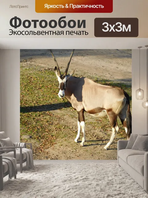 Фотообои Африке