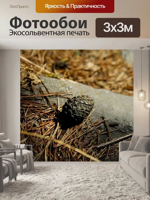 Фотообои Кедровые орехи
