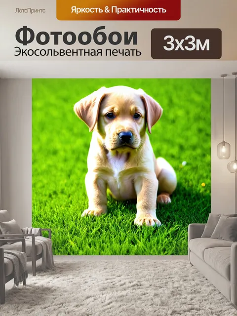 Фотообои щенок лабрадора, обдумывающий свою следующую шалость на зеленом лужайке, расположенный в гармонии с…