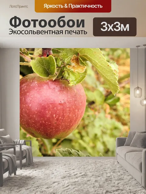 Фотообои Яблоко