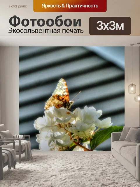 Фотообои бабочка