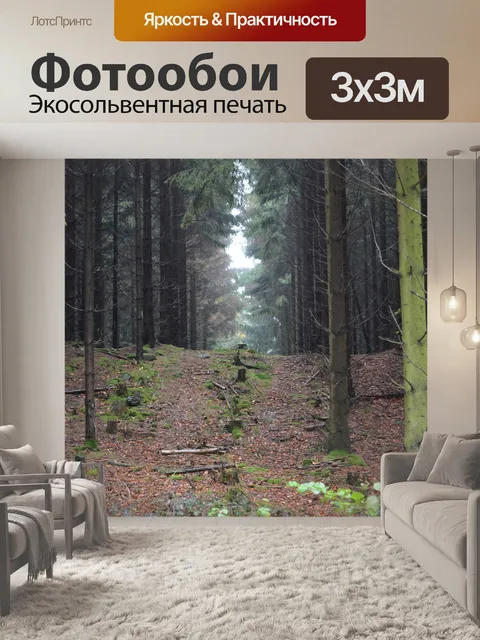 Фотообои Лес