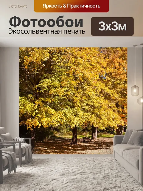 Фотообои Цвета осени падения