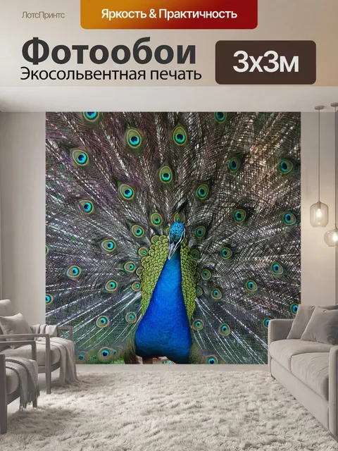 Фотообои Павлин