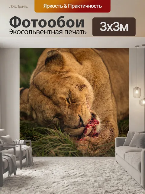 Фотообои Львица питание