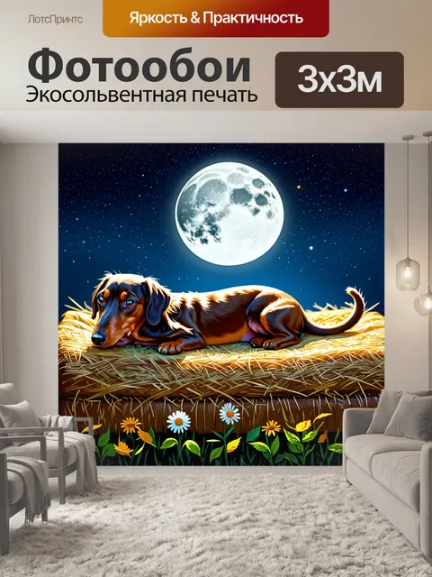 Фотообои под светом луны, длинношерстная такса мирно спит на подстилке из сена, окруженная полевыми цветами