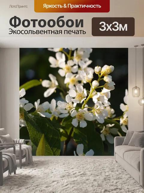 Фотообои Цветы