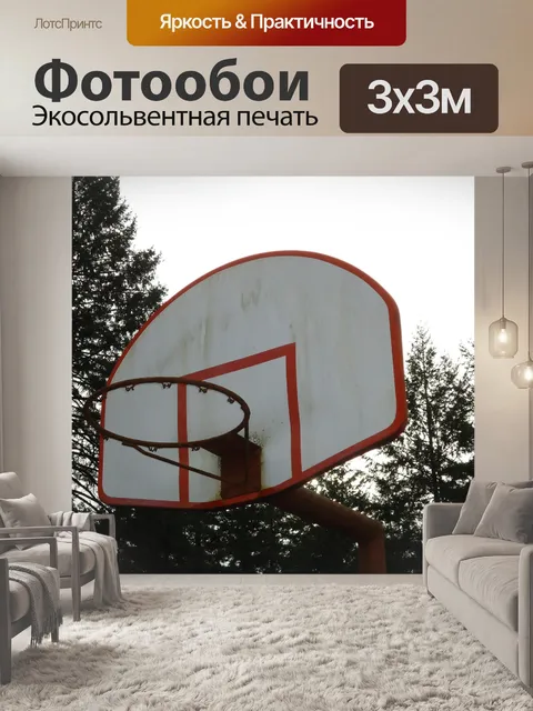 Фотообои Баскетбол Межэтажные и ободьев