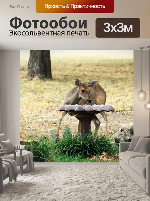 Фотообои Жаждущий олень