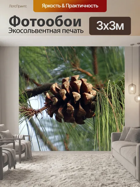 Фотообои Гималайская синяя сосна