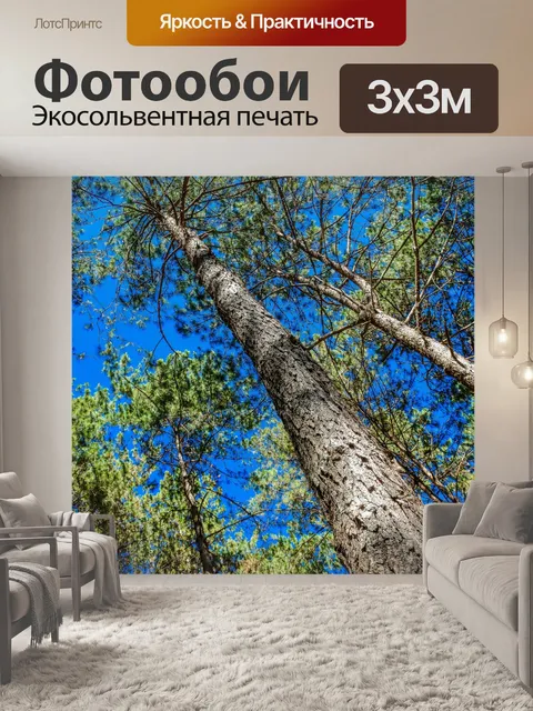 Фотообои Сосновый лес, Пан Унг, Мэй Хонг Сон
