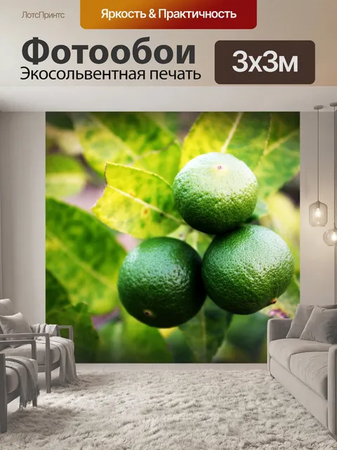 Фотообои Свежие лаймы на липе