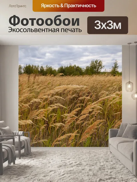 Фотообои Grass