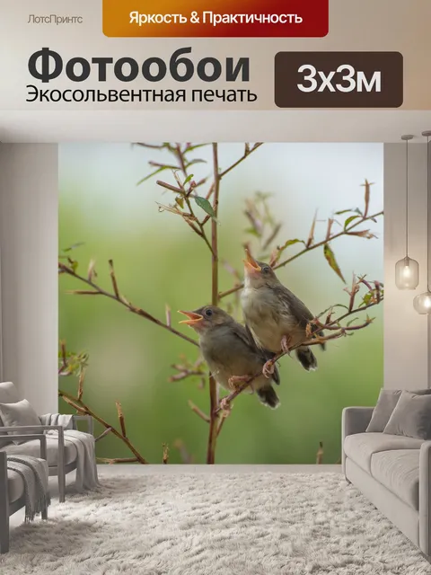 Фотообои Пение