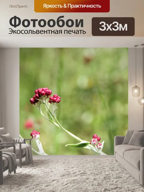 Фотообои Кровь Маккавеев в природе