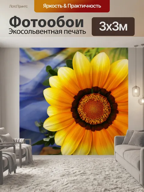 Фотообои Гербера